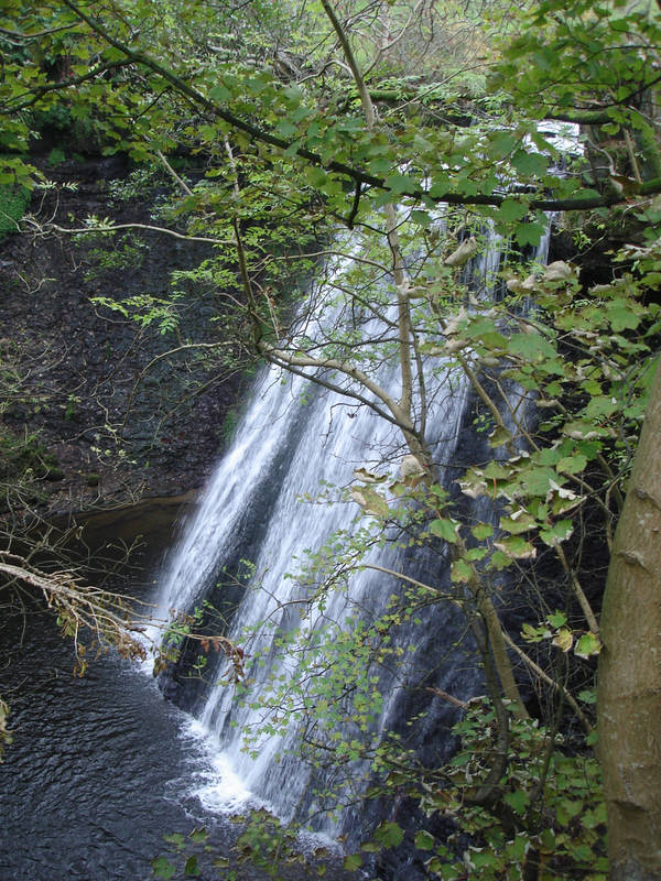 Aysgill Force from the path