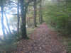 Woodland path on Windermere