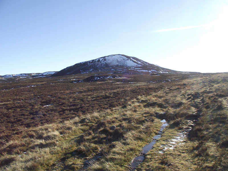 Summit of Bleaberry Fell