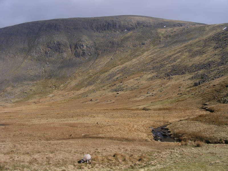 West Face of Brim Fell