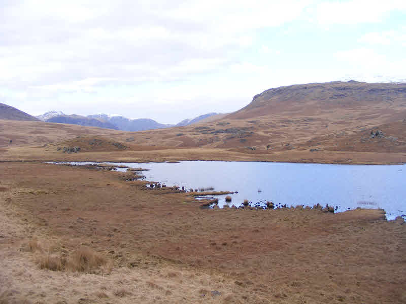 View north from Eel Tarn 