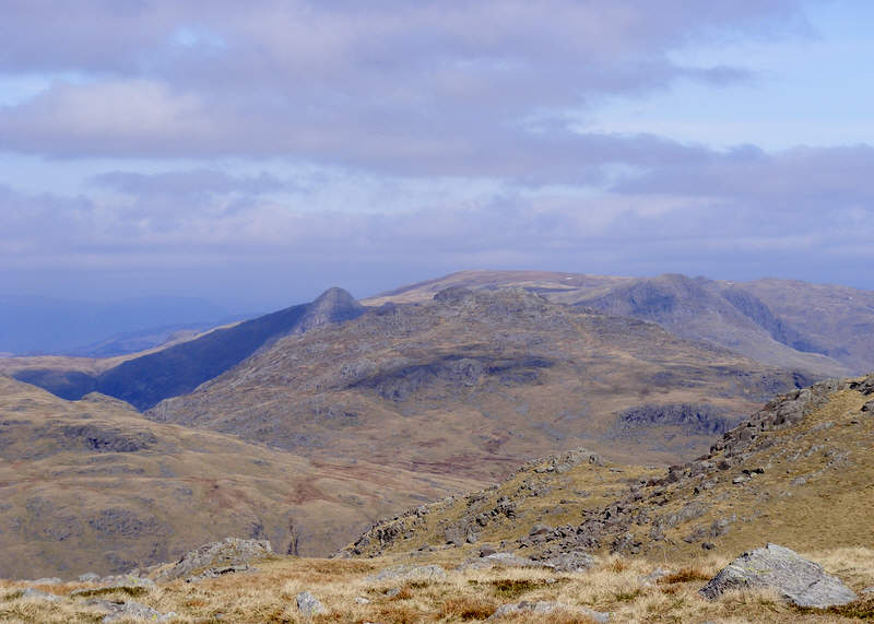 Langdale Pikes from Great Carrs