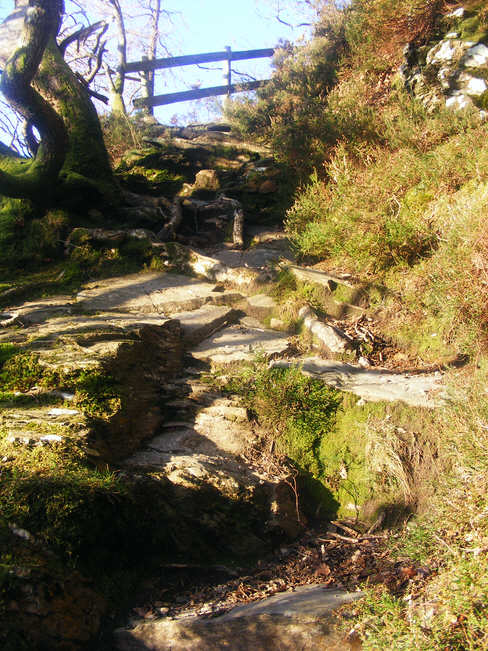 The path to Brackenthwaite Hows from Lanthwaite Wood 