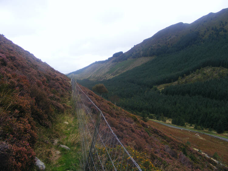 Whinlatter Pass from the slopes above the road