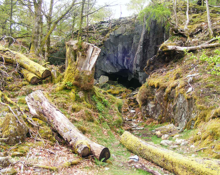 Workings in Moss Rigg Wood