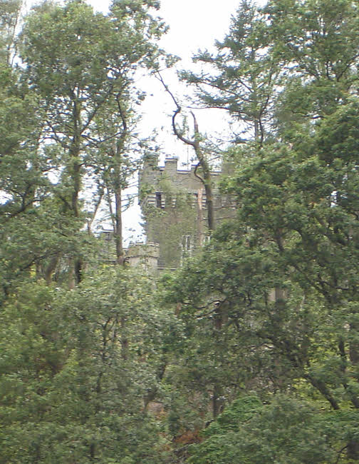Wray Castle through Trees 