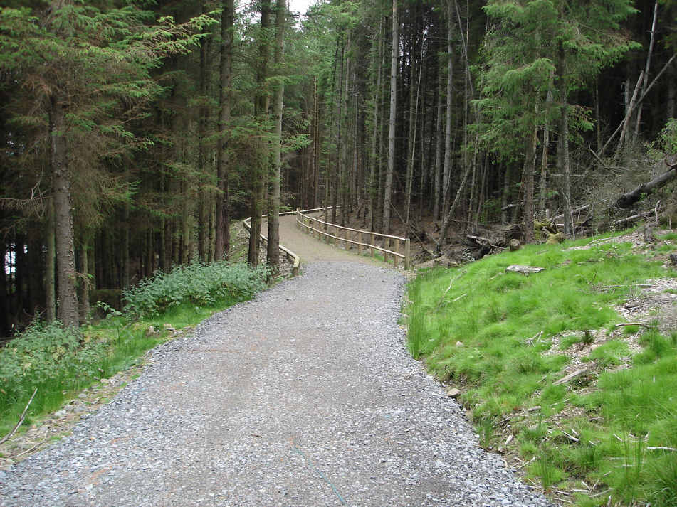The Path through the trees at Burnhope Reservoir