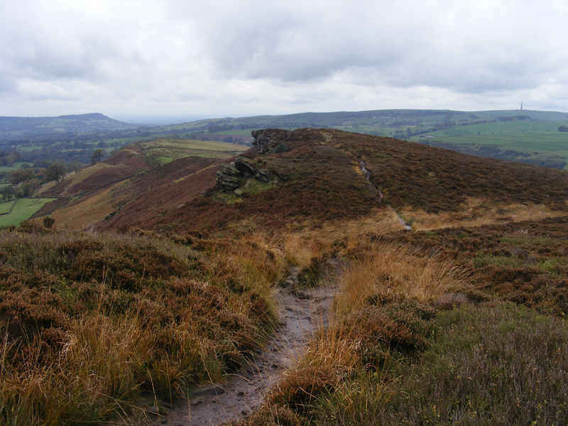 The ridge on Back Forest