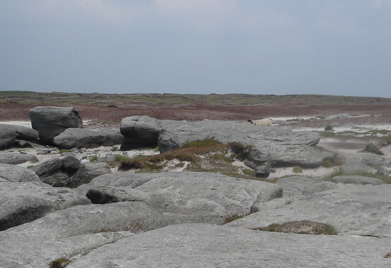 Looking east from Kinder Low