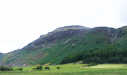 Crag Fell from the west