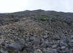 Western slope of Scafell