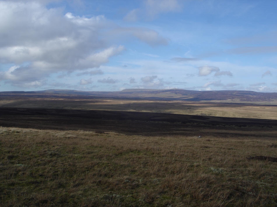 The view towards Mickle Fell taken from Shackesborough
