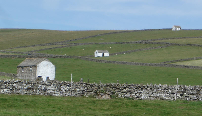 White barns in Teesdale