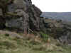 Climbers on the Roaches