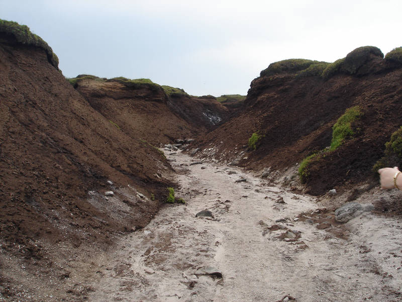 A gully in the peat on Kinder Scout