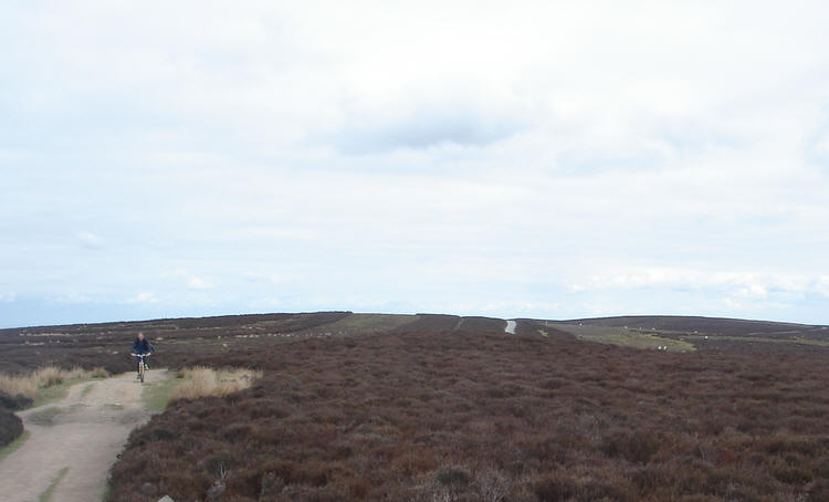 View north along the Long Mynd