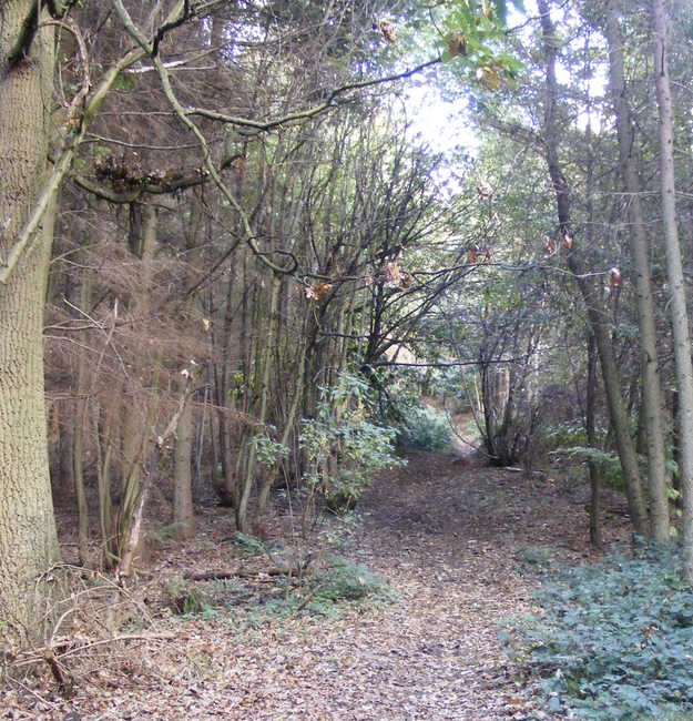 The Shropshire Way on Little Hill, The Wrekin